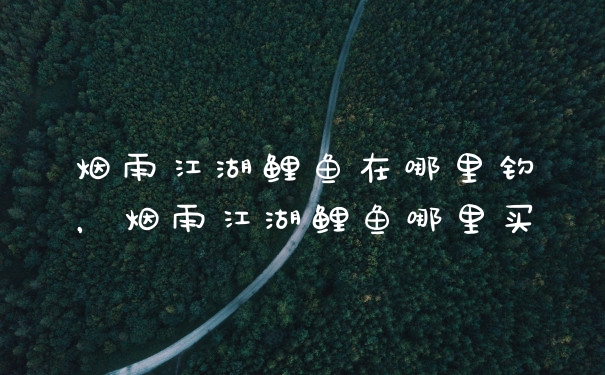 烟雨江湖鲤鱼在哪里钓，烟雨江湖鲤鱼哪里买