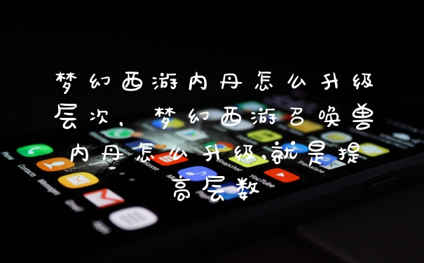 梦幻西游内丹怎么升级层次，梦幻西游召唤兽内丹怎么升级,就是提高层数