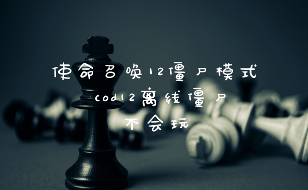 使命召唤12僵尸模式 cod12离线僵尸不会玩