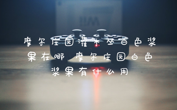 摩尔庄园灌木丛白色浆果在哪 摩尔庄园白色浆果有什么用