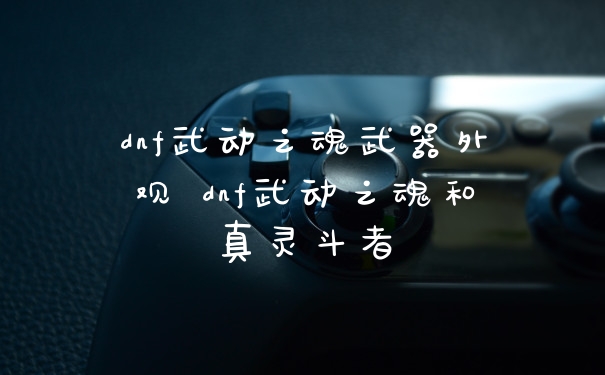 dnf武动之魂武器外观 dnf武动之魂和真灵斗者