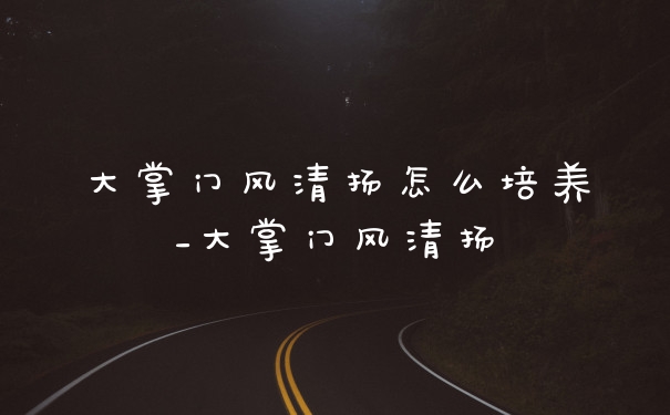 大掌门风清扬怎么培养_大掌门风清扬