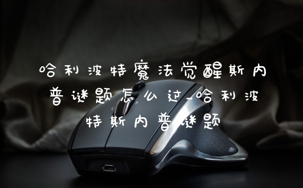 哈利波特魔法觉醒斯内普谜题怎么过_哈利波特斯内普谜题