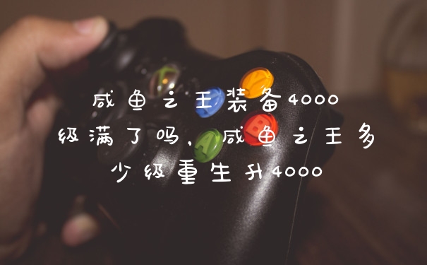 咸鱼之王装备4000级满了吗，咸鱼之王多少级重生升4000