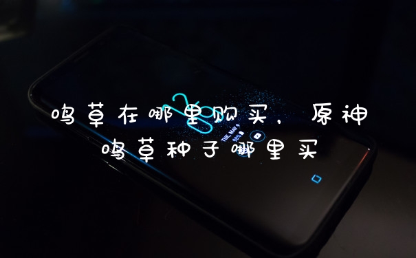 鸣草在哪里购买，原神鸣草种子哪里买
