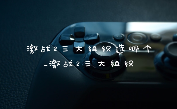激战2三大组织选哪个_激战2三大组织