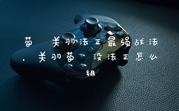 荀彧关羽法正最强战法，关羽荀彧没法正怎么组
