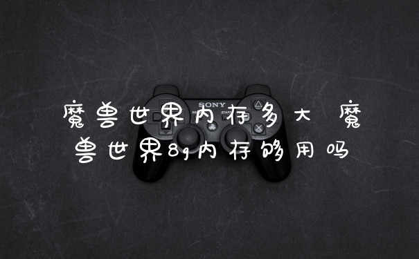 魔兽世界内存多大 魔兽世界8g内存够用吗