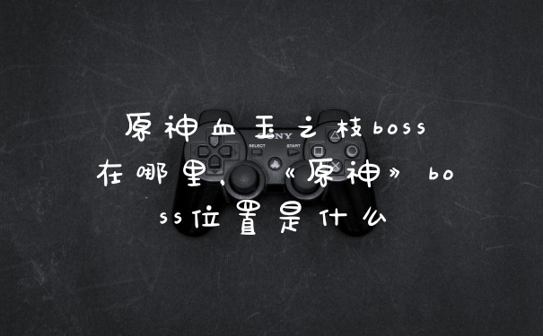 原神血玉之枝boss在哪里，《原神》boss位置是什么
