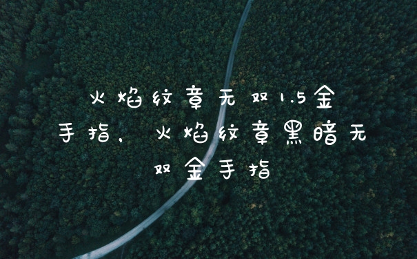 火焰纹章无双1.5金手指，火焰纹章黑暗无双金手指
