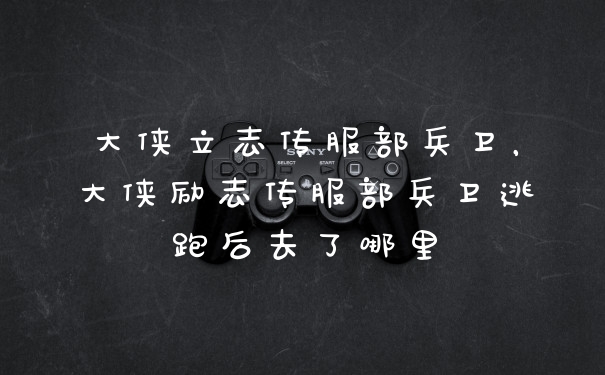 大侠立志传服部兵卫，大侠励志传服部兵卫逃跑后去了哪里