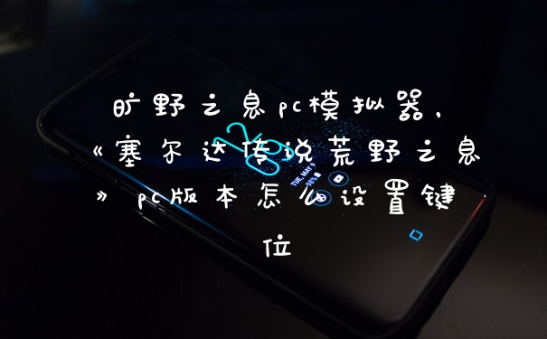 旷野之息pc模拟器,《塞尔达传说荒野之息》pc版本怎么设置键位