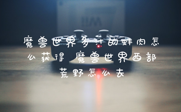 魔兽世界多汁的蚌肉怎么获得 魔兽世界西部荒野怎么去