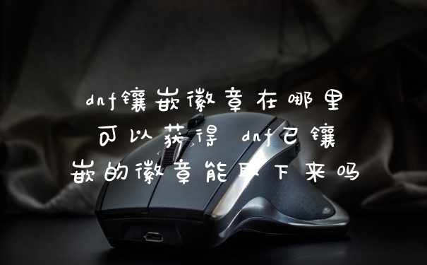 dnf镶嵌徽章在哪里可以获得 dnf已镶嵌的徽章能取下来吗