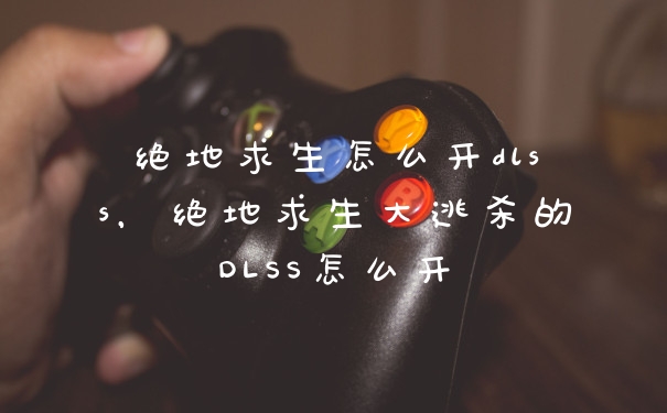 绝地求生怎么开dlss,绝地求生大逃杀的DLSS怎么开