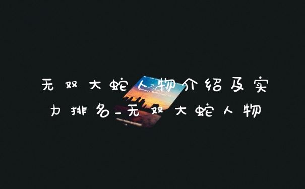 无双大蛇人物介绍及实力排名_无双大蛇人物