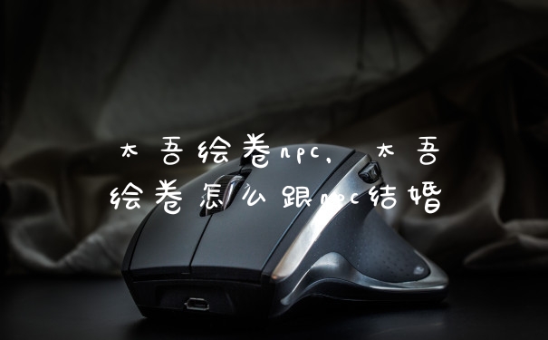 太吾绘卷npc，太吾绘卷怎么跟npc结婚