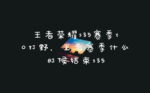 王者荣耀s35赛季t0打野，王者赛季什么时候结束s35