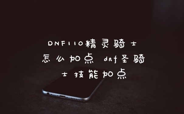 DNF110精灵骑士怎么加点 dnf圣骑士技能加点
