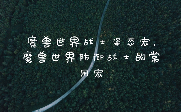 魔兽世界战士姿态宏，魔兽世界防御战士的常用宏