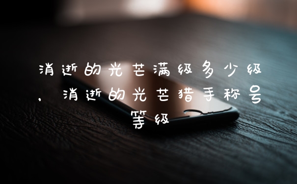 消逝的光芒满级多少级，消逝的光芒猎手称号等级