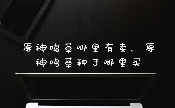 原神鸣草哪里有卖，原神鸣草种子哪里买