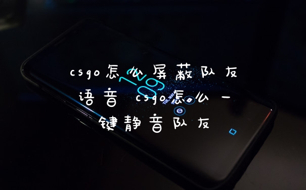 csgo怎么屏蔽队友语音 csgo怎么一键静音队友