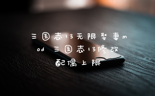 三国志13无限娶妻mod 三国志13修改配偶上限
