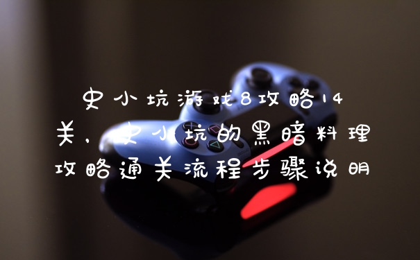 史小坑游戏8攻略14关，史小坑的黑暗料理攻略通关流程步骤说明