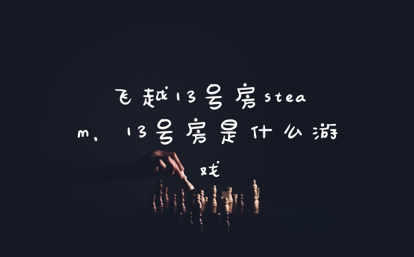 飞越13号房steam，13号房是什么游戏