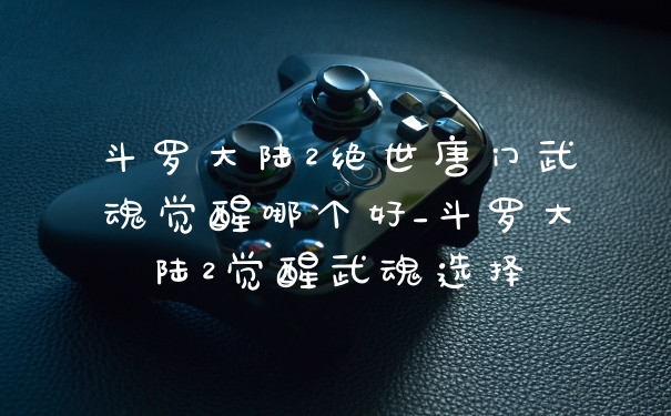 斗罗大陆2绝世唐门武魂觉醒哪个好_斗罗大陆2觉醒武魂选择