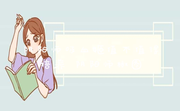 阴阳师吸血姬值不值得培养 阴阳师椒图