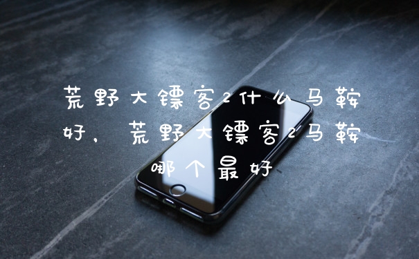 荒野大镖客2什么马鞍好，荒野大镖客2马鞍哪个最好