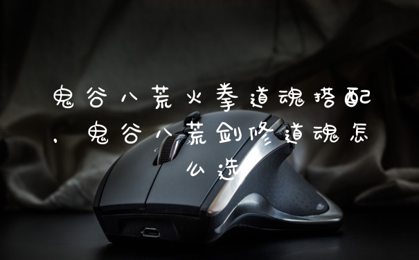 鬼谷八荒火拳道魂搭配,鬼谷八荒剑修道魂怎么选