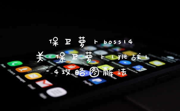 保卫萝卜boss14关 保卫萝卜1挑战14攻略图解法