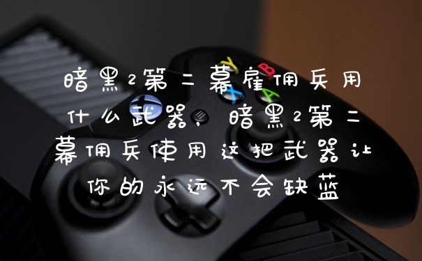 暗黑2第二幕雇佣兵用什么武器，暗黑2第二幕佣兵使用这把武器让你的永远不会缺蓝