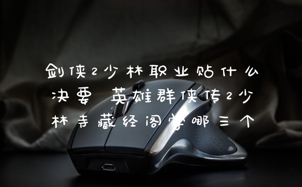剑侠2少林职业贴什么决要 英雄群侠传2少林寺藏经阁学哪三个