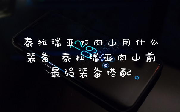 泰拉瑞亚打肉山用什么装备 泰拉瑞亚肉山前最强装备搭配