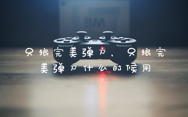 只狼完美弹刀，只狼完美弹刀什么时候用