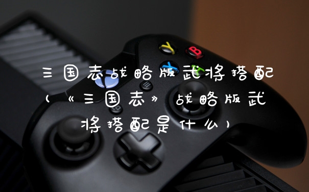 三国志战略版武将搭配(《三国志》战略版武将搭配是什么)