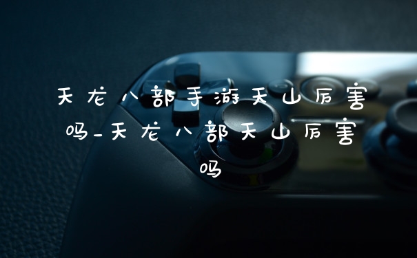 天龙八部手游天山厉害吗_天龙八部天山厉害吗