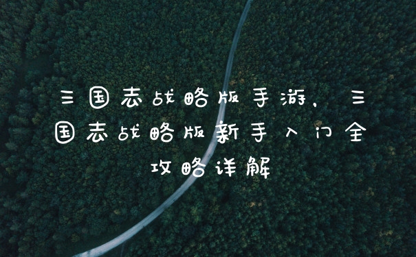 三国志战略版手游，三国志战略版新手入门全攻略详解