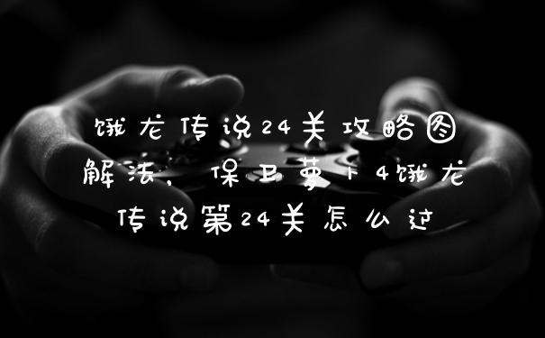 饿龙传说24关攻略图解法，保卫萝卜4饿龙传说第24关怎么过
