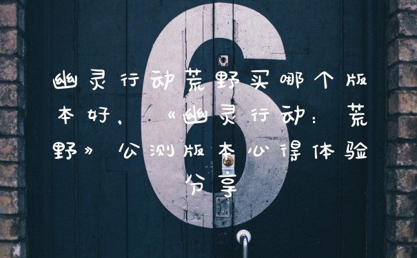 幽灵行动荒野买哪个版本好，《幽灵行动：荒野》公测版本心得体验分享