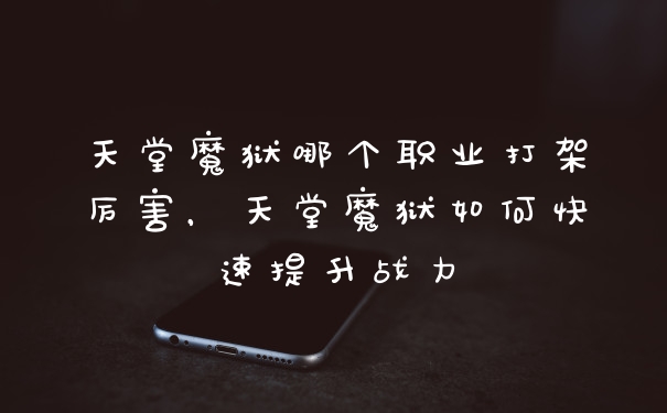天堂魔狱哪个职业打架厉害,天堂魔狱如何快速提升战力