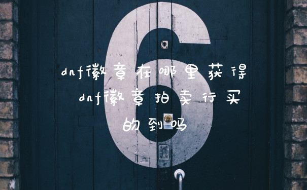 dnf徽章在哪里获得 dnf徽章拍卖行买的到吗