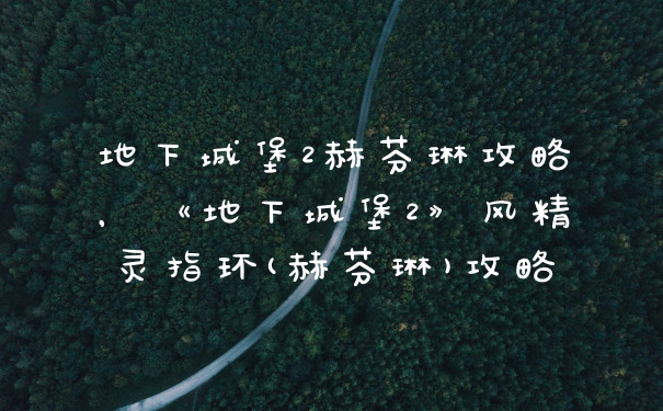 地下城堡2赫芬琳攻略，《地下城堡2》风精灵指环(赫芬琳)攻略