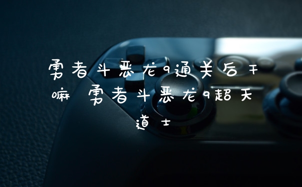 勇者斗恶龙9通关后干嘛 勇者斗恶龙9超天道士