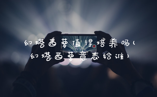幻塔西萝值得培养吗(幻塔西萝意志给谁)