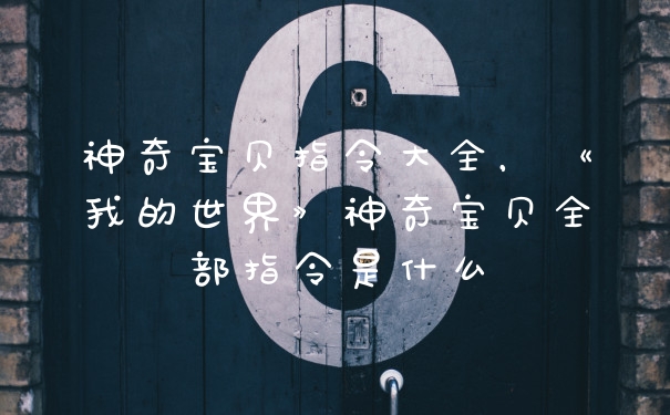 神奇宝贝指令大全，《我的世界》神奇宝贝全部指令是什么